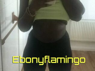 Ebony_flamingo