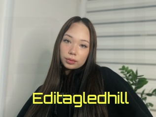 Editagledhill