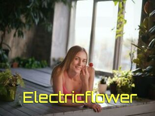 Electricflower