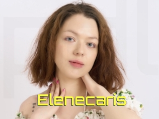 Elenecaris