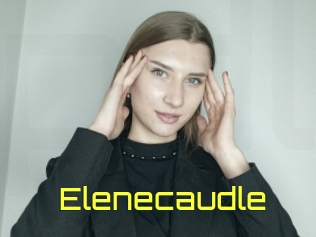 Elenecaudle