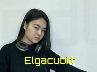 Elgacubitt