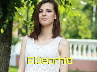 Ellieorhid