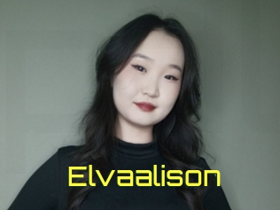 Elvaalison