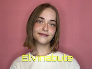 Elvinabute