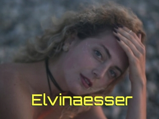 Elvinaesser