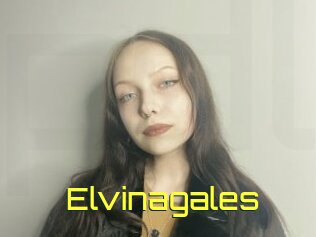 Elvinagales