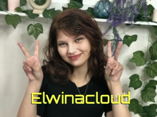 Elwinacloud