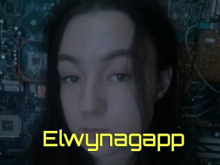 Elwynagapp