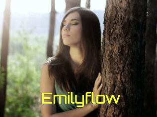 Emilyflow