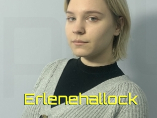 Erlenehallock