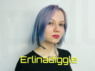 Erlinadiggle