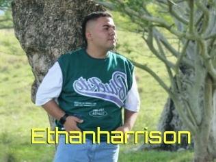 Ethanharrison