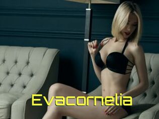 Evacornelia