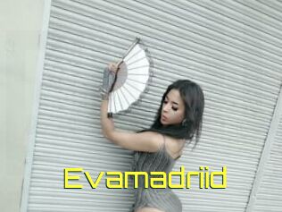 Evamadriid