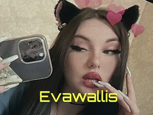 Evawallis