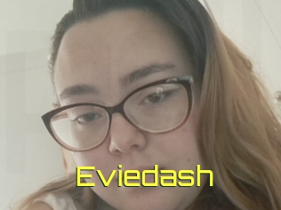 Eviedash