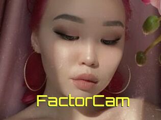 FactorCam