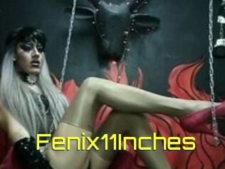 Fenix11Inches