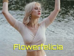 Flowerfelicia