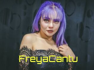 FreyaCantu