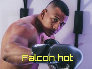 Falcon_hot