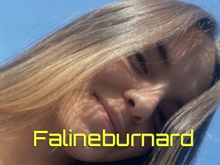 Falineburnard