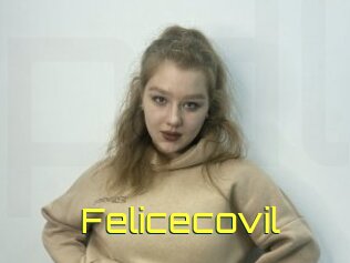 Felicecovil