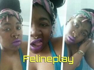 Felineplay