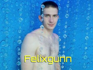 Felixgunn