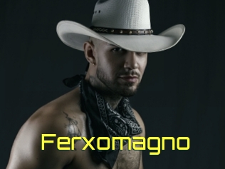 Ferxomagno