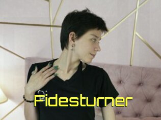 Fidesturner