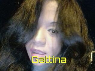 Gattina