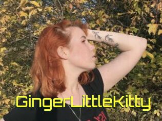 GingerLittleKitty