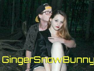 GingerSnowBunny