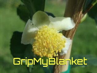 GripMyBlanket