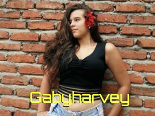 Gabyharvey