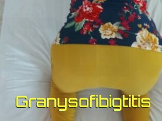 Granysofibigtitis