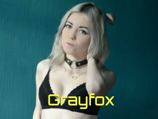 Grayfox