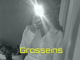 Grosseins