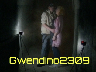 Gwendino2309