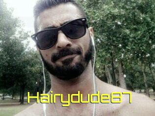 Hairydude87