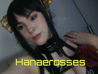 Hanaerosses