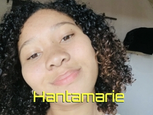 hantamarie Pine De Lapin