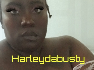 Harleydabusty