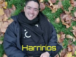 Harririos