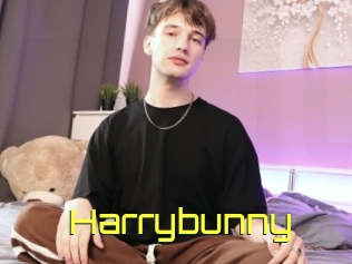 Harrybunny