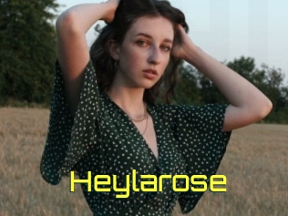 Heylarose