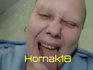 Hornak18