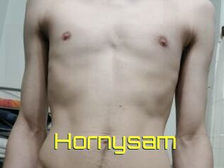 Hornysam